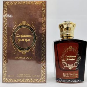SAFWAT OUDI