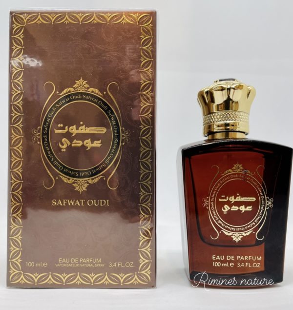 SAFWAT OUDI