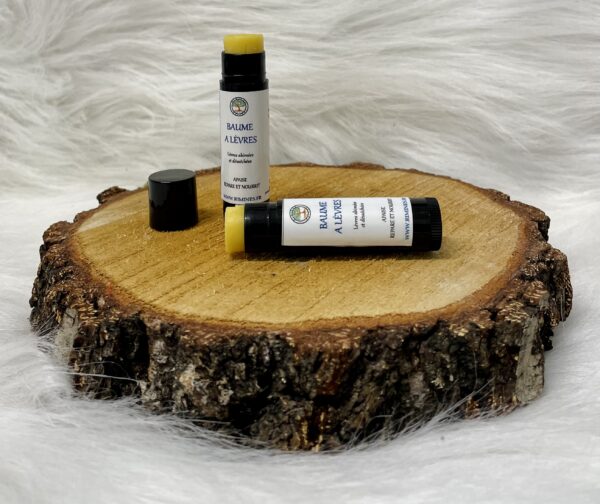 BAUME A LEVRES HOMME