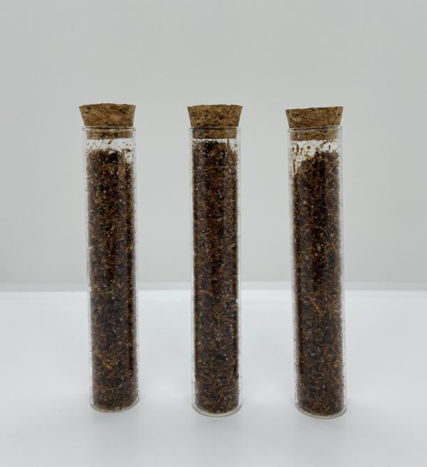 BOIS DE SANTAL